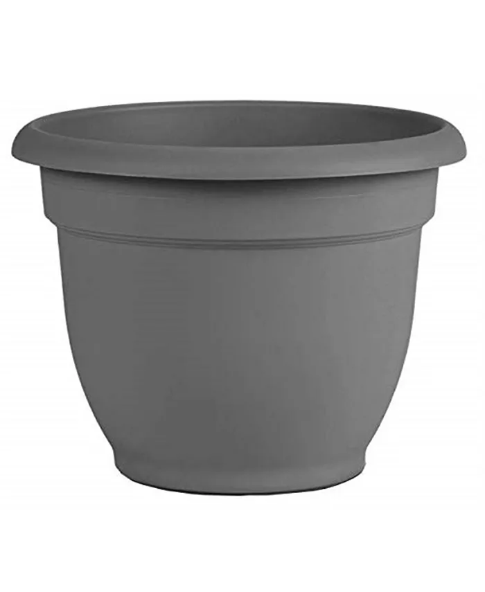 Bloem AP10908 Ariana Planter with Self-Watering Disk， Charcoal - 10 inches