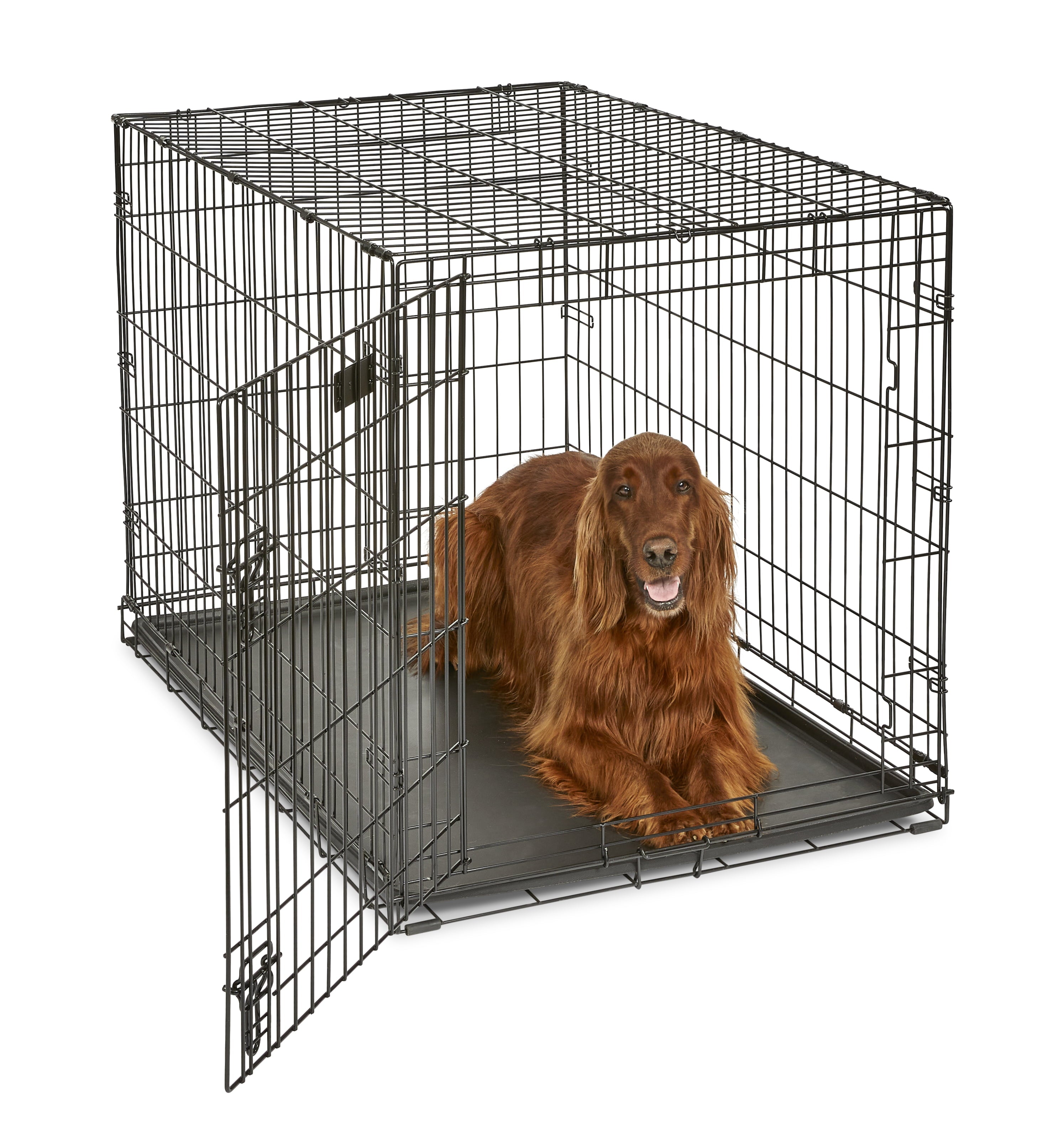 Large Dog Crate | MidWest iCrate Folding Metal Dog Crate | Divider Panel， Floor Protecting Feet， Leak-Proof Dog Pan | 42L x 28W x 31H Inches， Large Dog