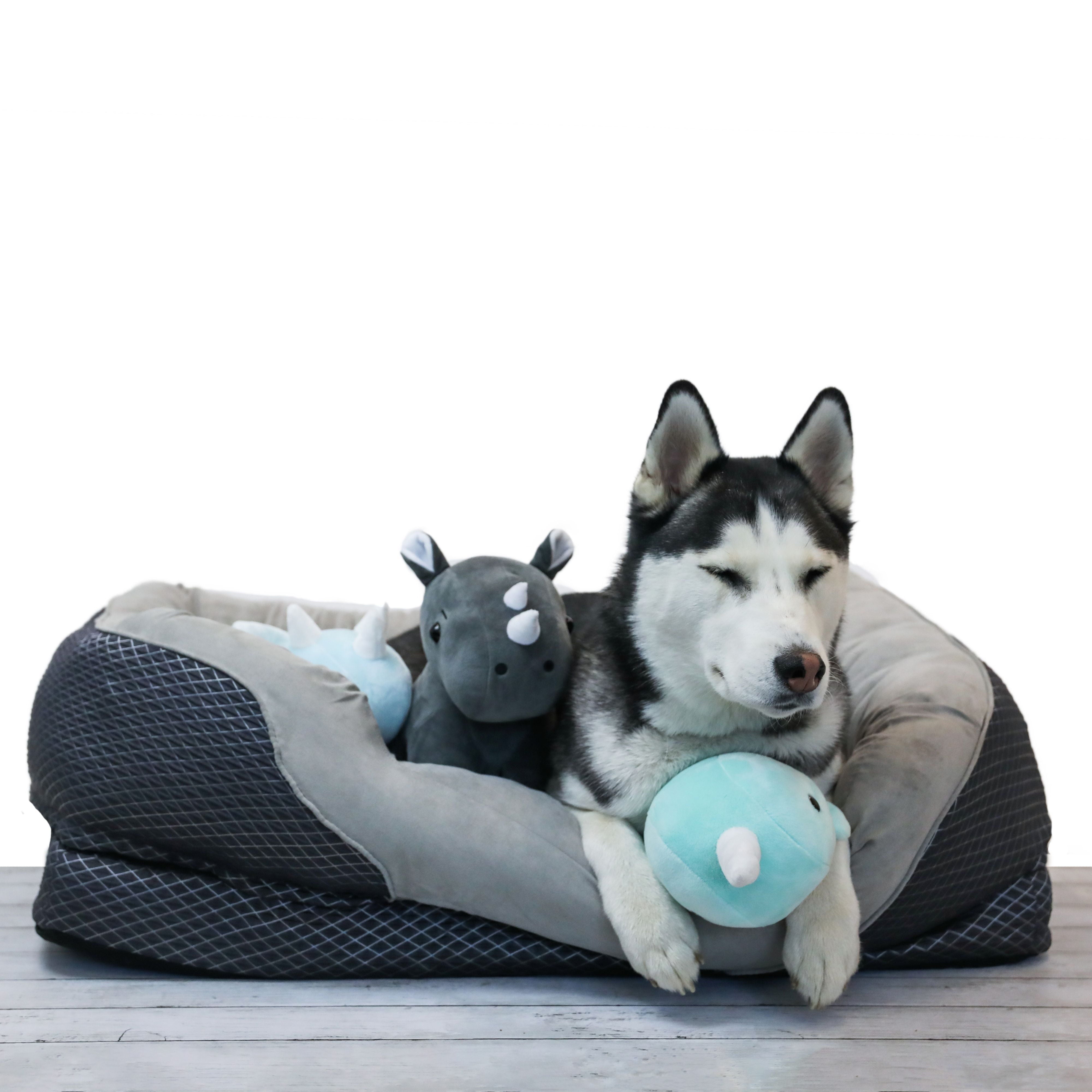 BarksBar Snuggly Sleeper Solid Foam Orthopedic Dog Bed， Large， Gray