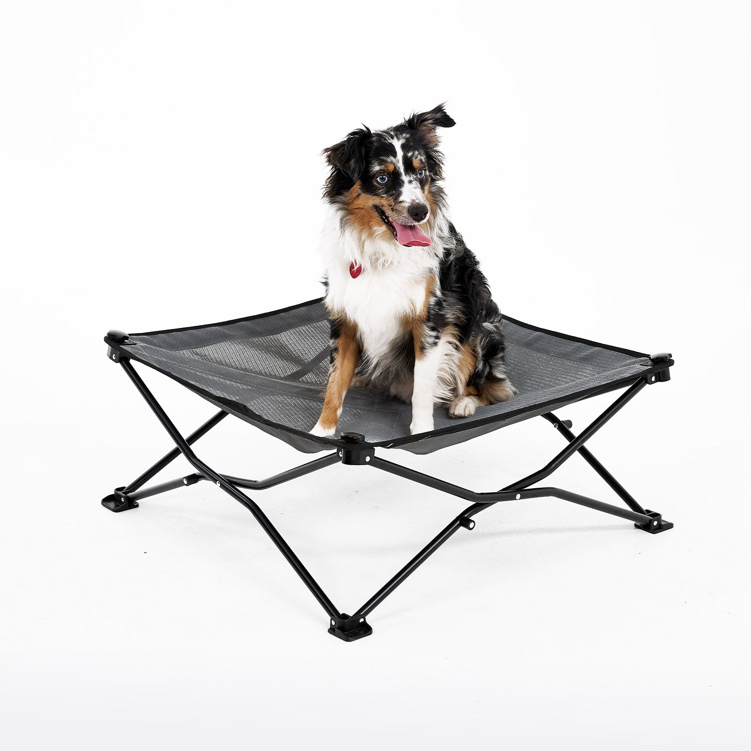 Coolaroo On the Go Elevated Travel Dog Bed， Medium， Steel Gray