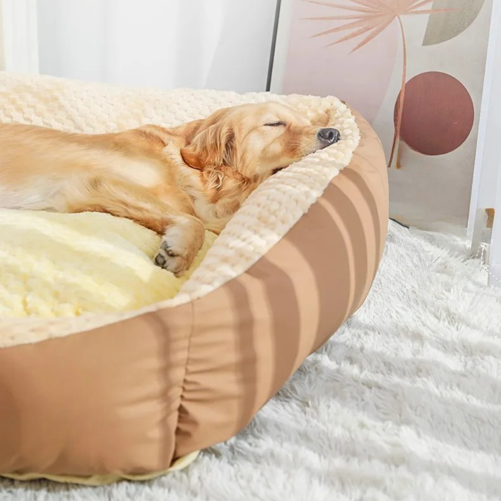 Deep Sleep Dog Bed | Orthopedic Washable Cushion for Dogs and Cats