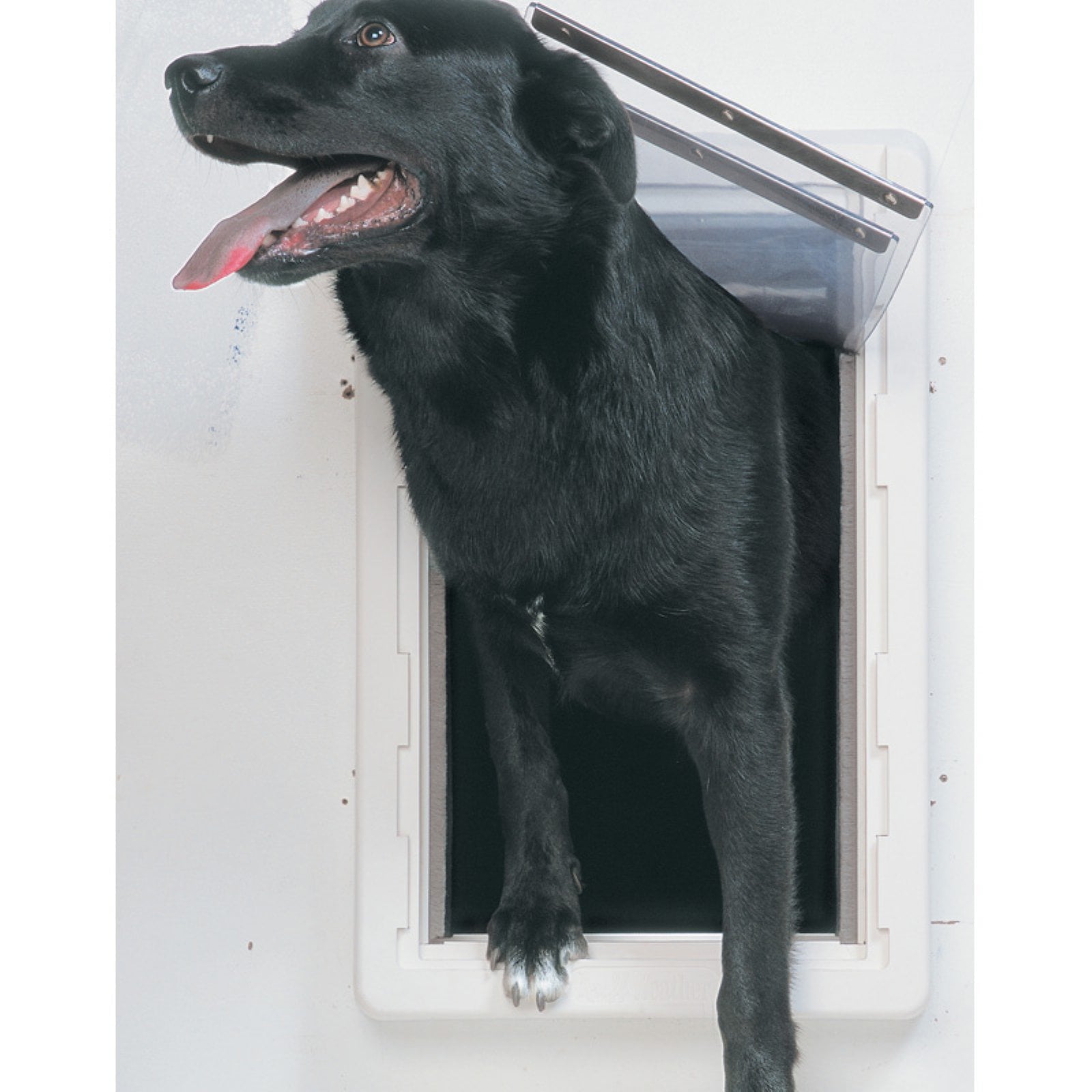 Ideal Pet Perfect All Weather Wall Tunnel for Dogs