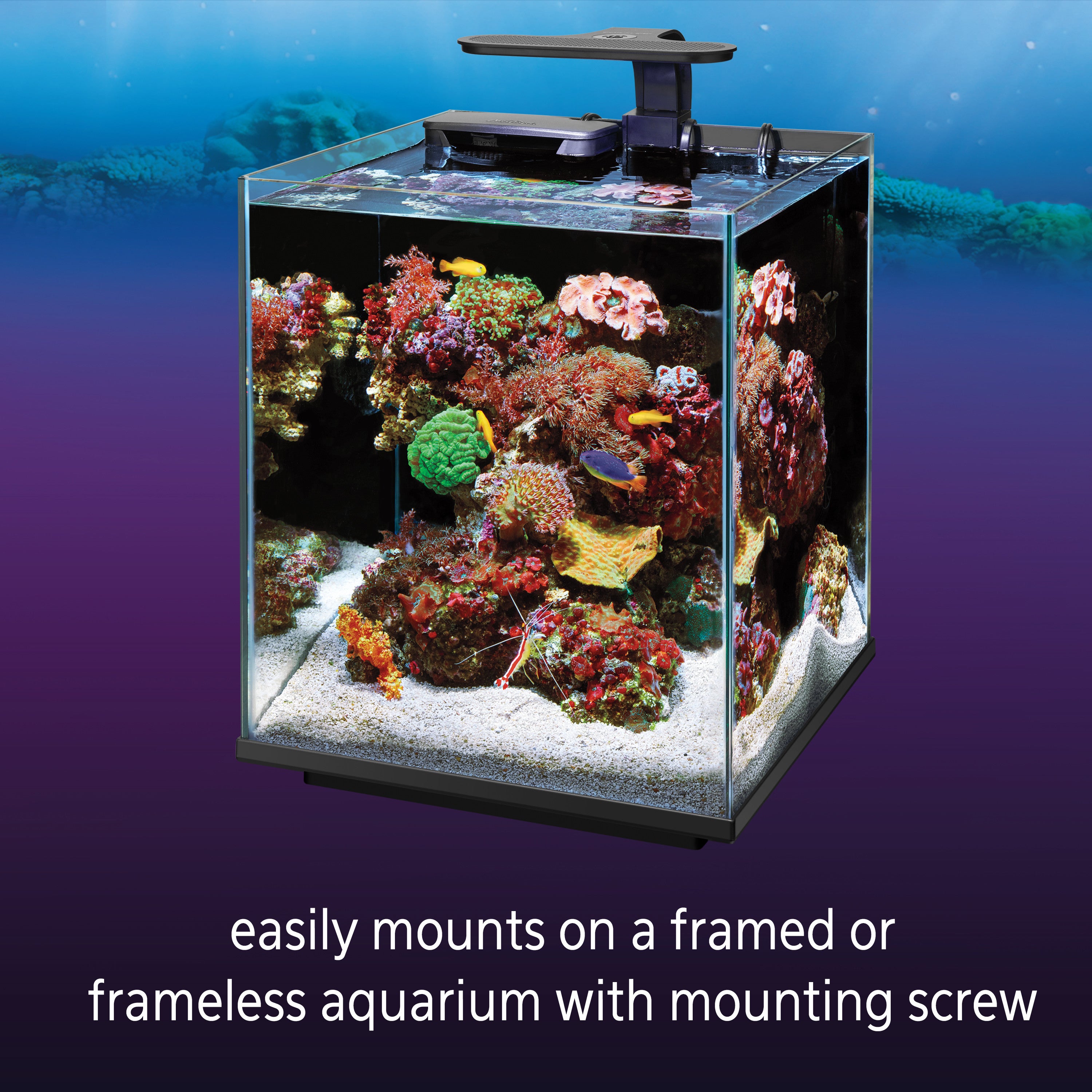 Coralife Clip-On Marine Aquarium LED Light Fixture