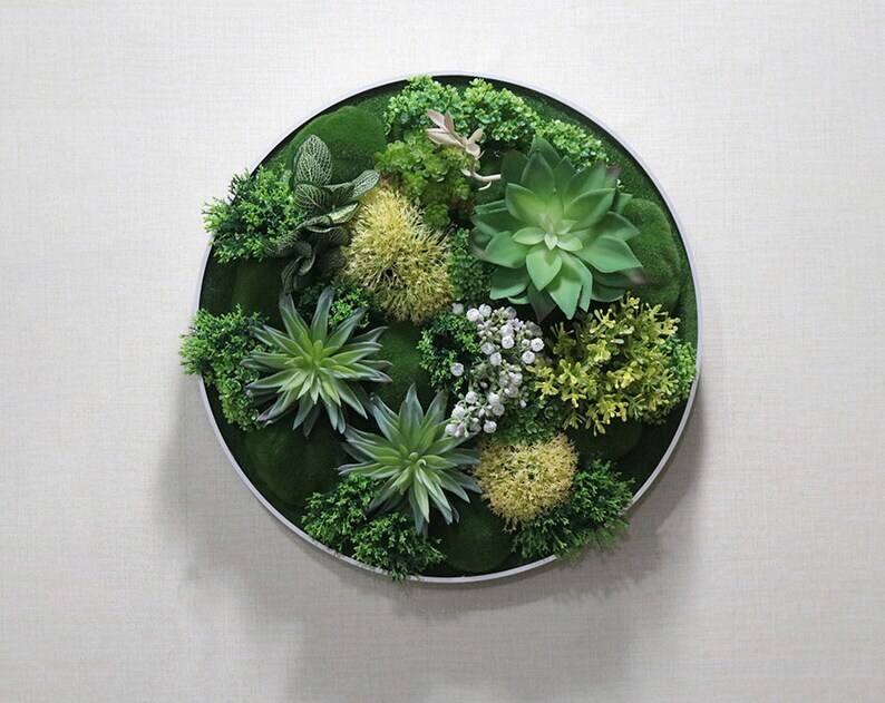 Artificial Succulent And Plant Wall Art, Fake Succulents In Frame, Fra