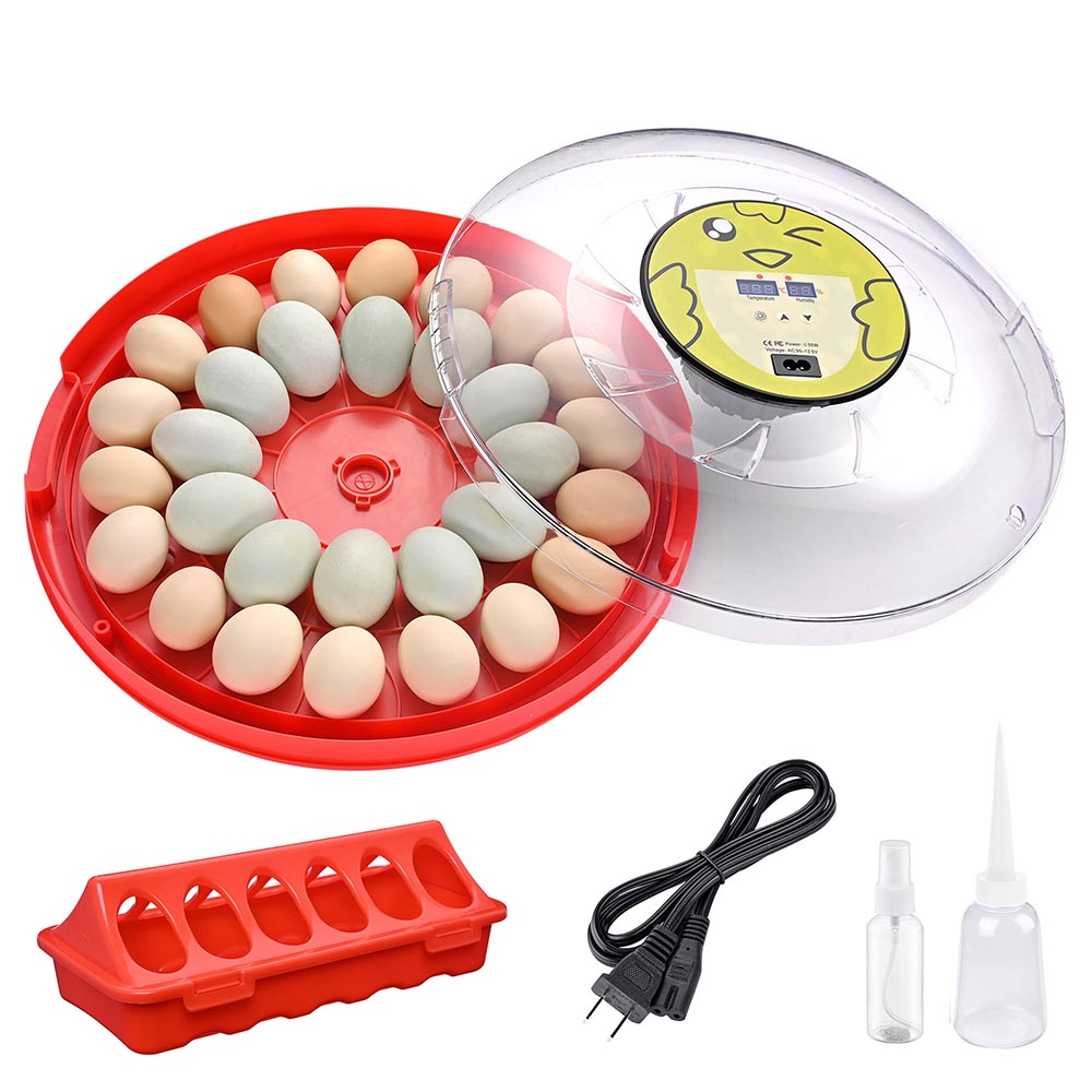 Yescom 30 Egg Incubator Auto Turning Temper Humidity Display
