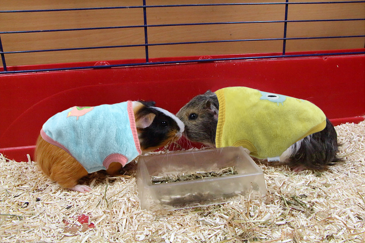 Vehomy 4Pcs Rabbit Bunny Clothes Guinea Pig Clothes Costume Small Pet Cozy Fleece Vest Warm T-Shirt Sweater for Ferret Teacup Poodles Puppy Kitten and Other Small Animals