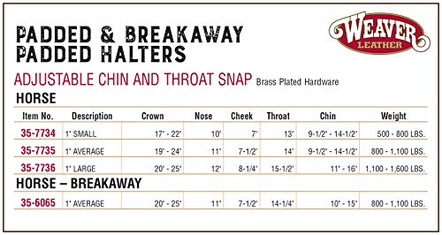 35-7735-PK Padded Chin and Throat Snap Halter， Black/Pink， 1 In.， Average-Size Horse - Quantity 1