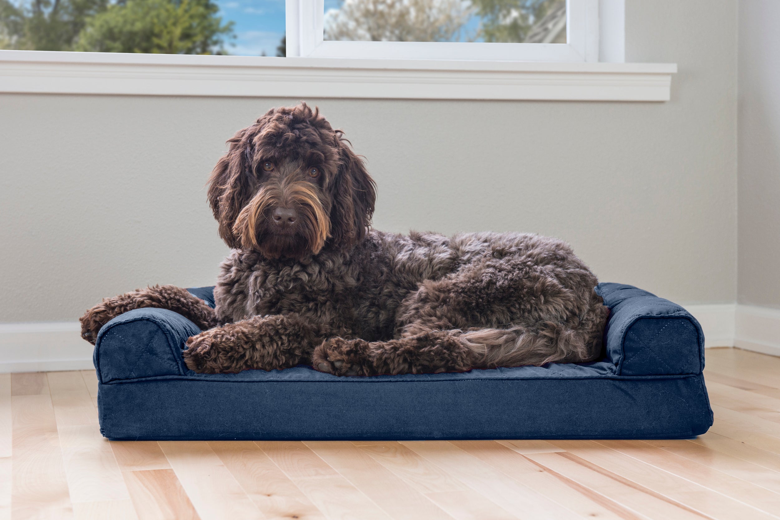 FurHaven Pet Products | Memory Foam Quilted Sofa Pet Bed for Dogs and Cats - Navy， Medium
