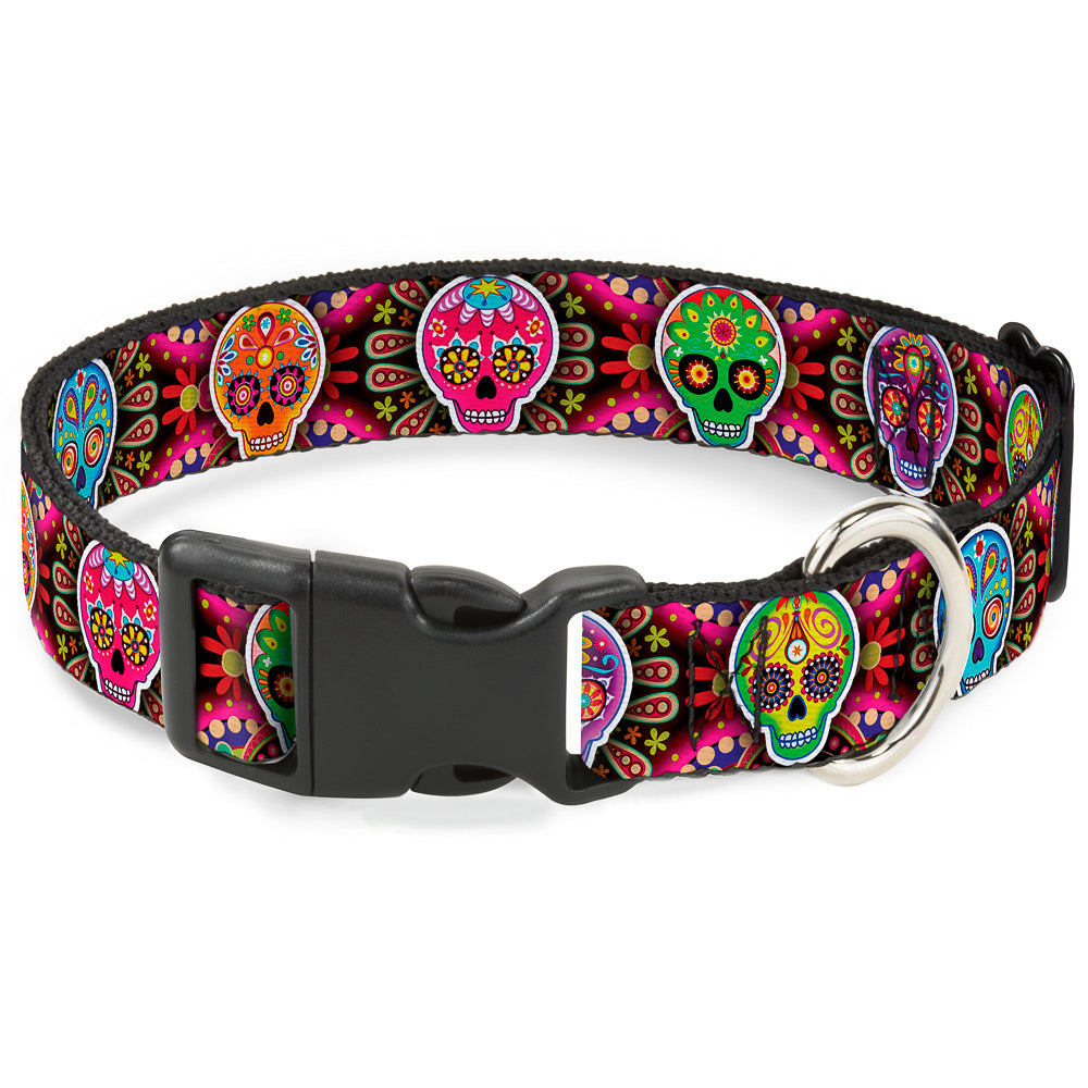 Thaneeya McArdle Pet Collar， Dog Collar Plastic Buckle， Six Sugar Skulls Multi Color， 8.5 to 12 Inches 0.5 Inch Wide