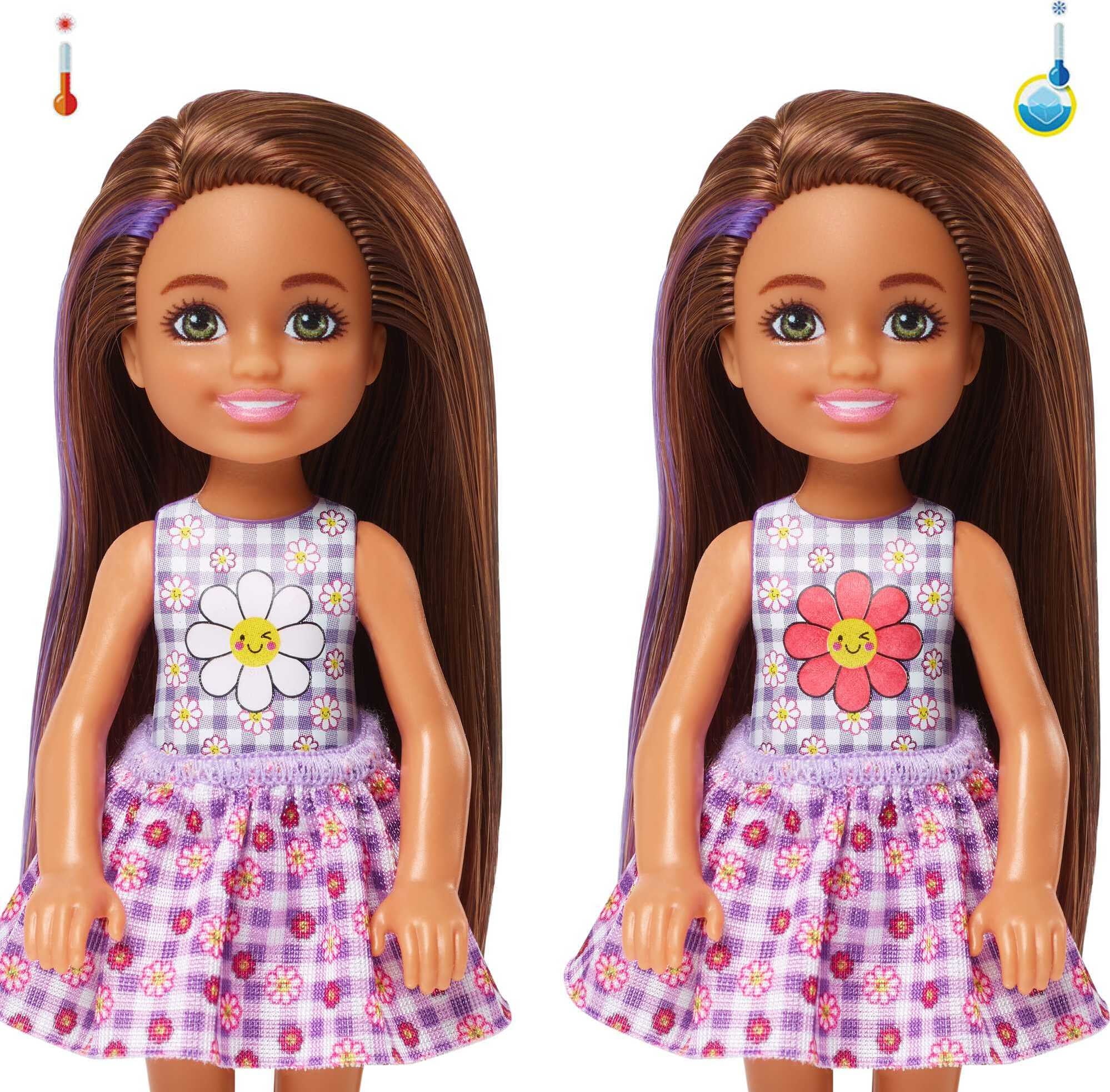 Barbie Color Reveal Picnic Series Chelsea Small Doll & Accessories (Styles May Vary)