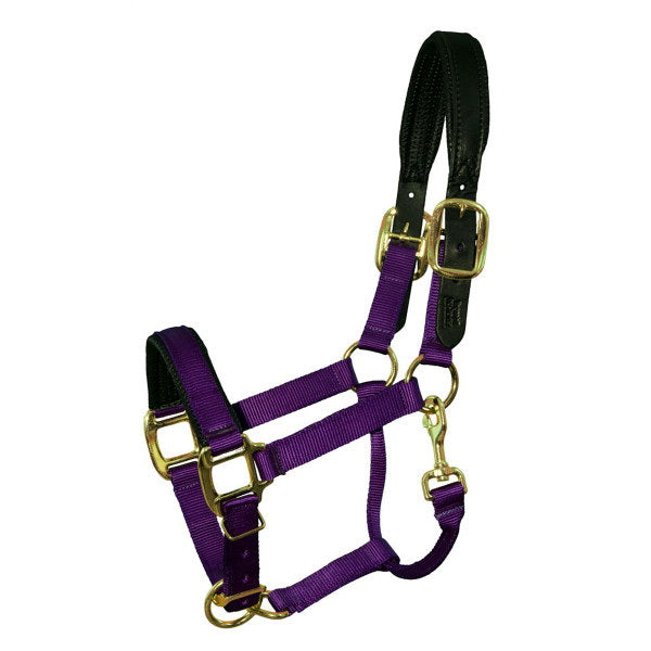 Intrepid International TH41BK Size 5-8 Breakaway Halter Padded Crown and Noseand#44; Black - Cob