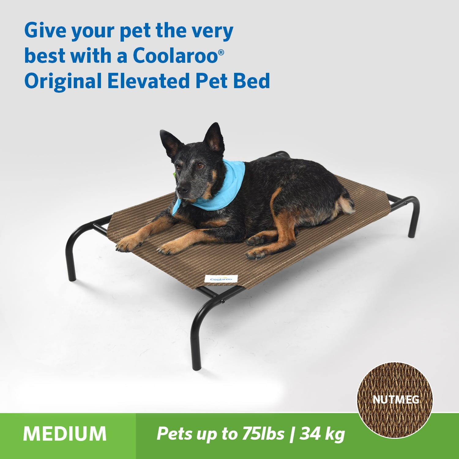 The Original Coolaroo Elevated Pet Dog Bed for Indoors and Outdoors， Medium， Nutmeg