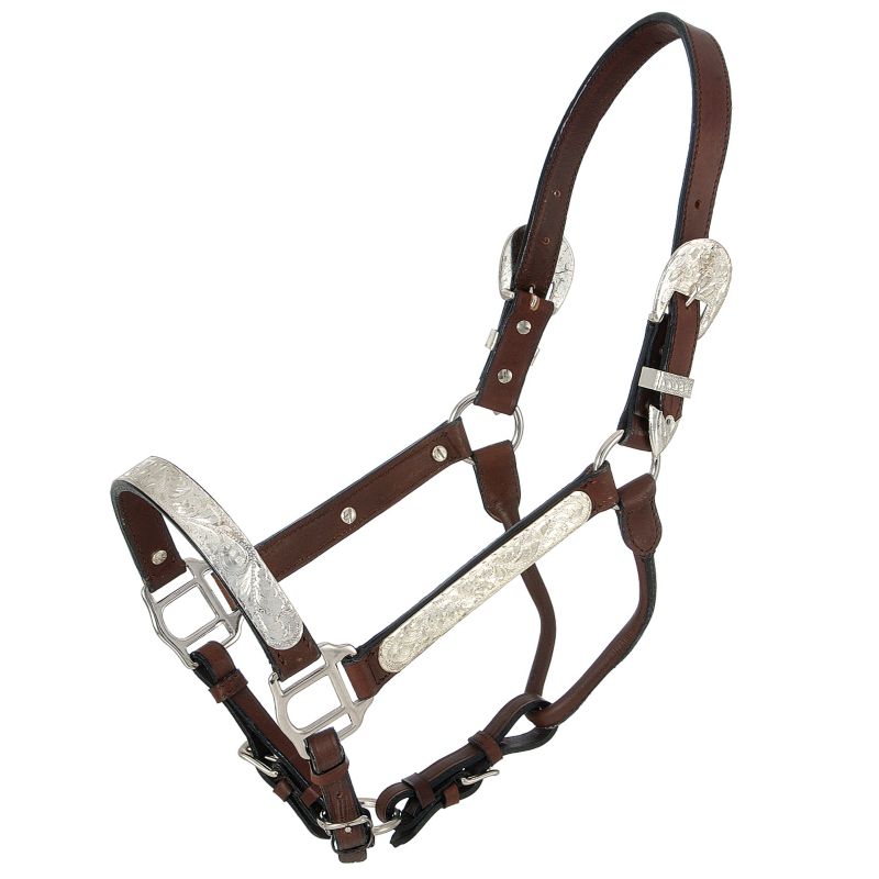 Royal King Congress Show Halter Horse