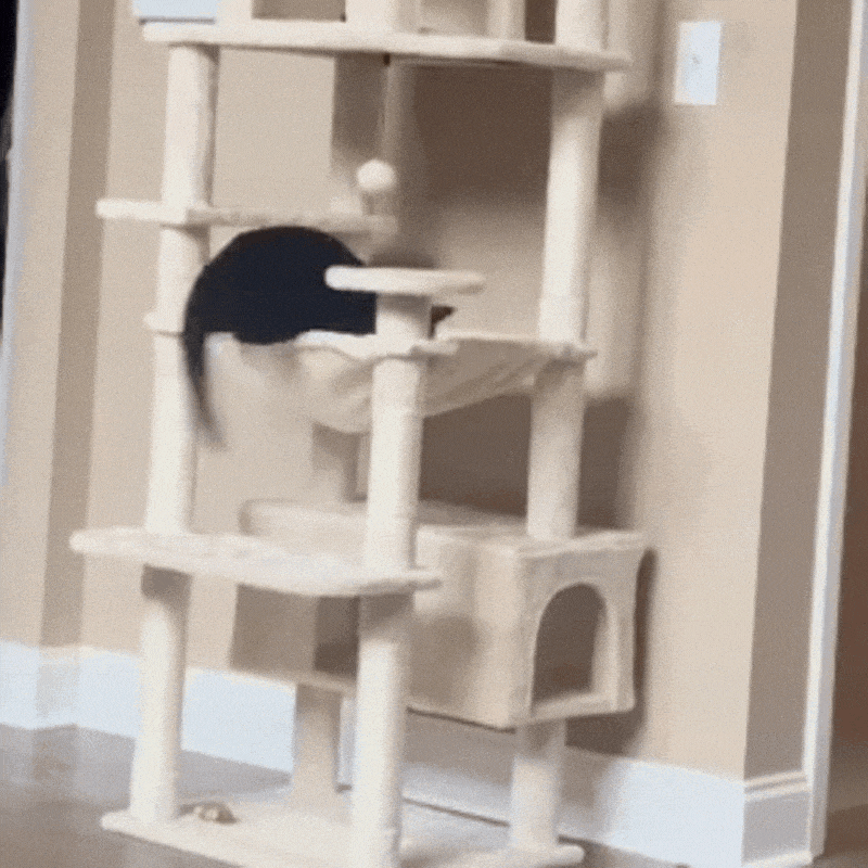 Modern Cat Tower with Scratching Posts | Luxury Multi-Level Cat Tree