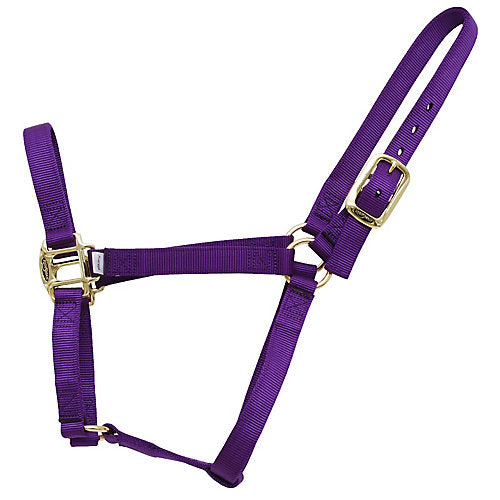 Reinsman Classic Nylon Halter Weanling Purple