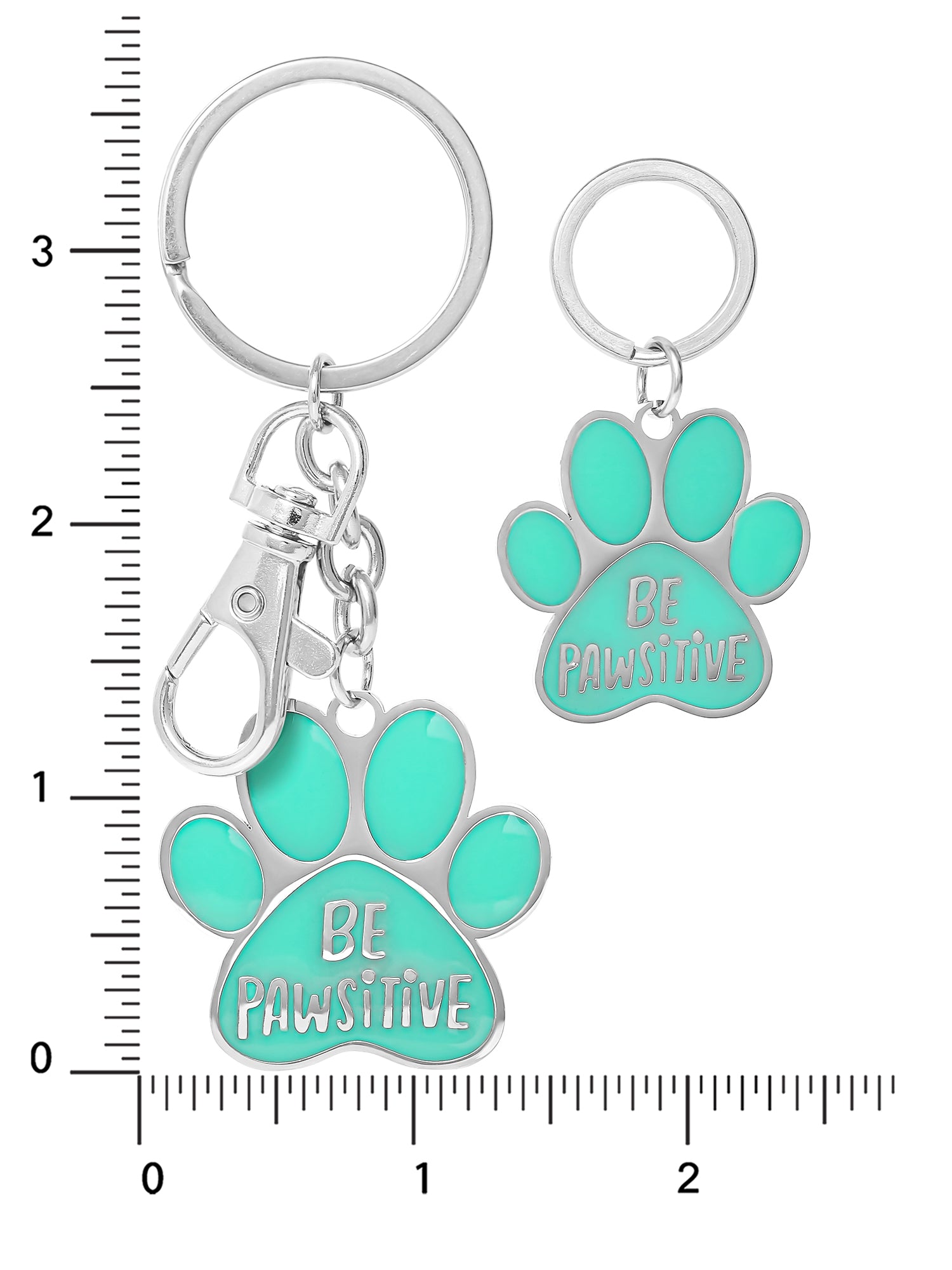 Connections from Hallmark Stainless Steel Pet Be Pawsitive Tag and Keychain Set