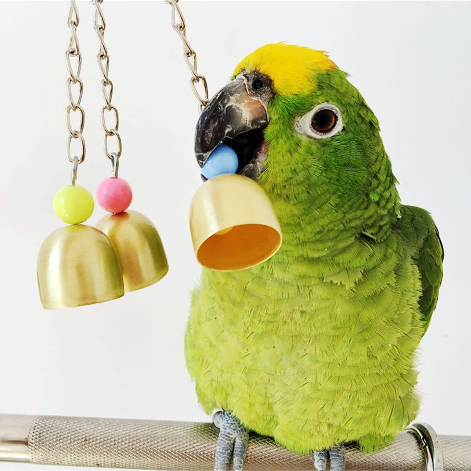 Sehao Bird B^Ite Pet Bells Toy Parrot African Greys Budgie Parakeet Cockatiel Parakeet Lovebird Cage Hanging Toy Multicolor Plastic