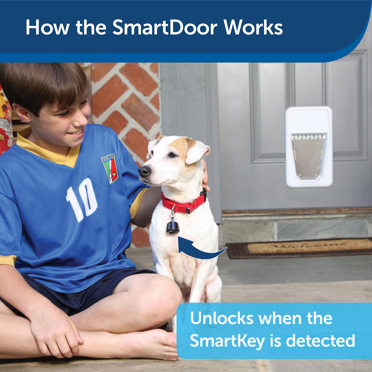 PetSafe Electronic SmartDoor Large Pet Door， 100 lb. Capacity