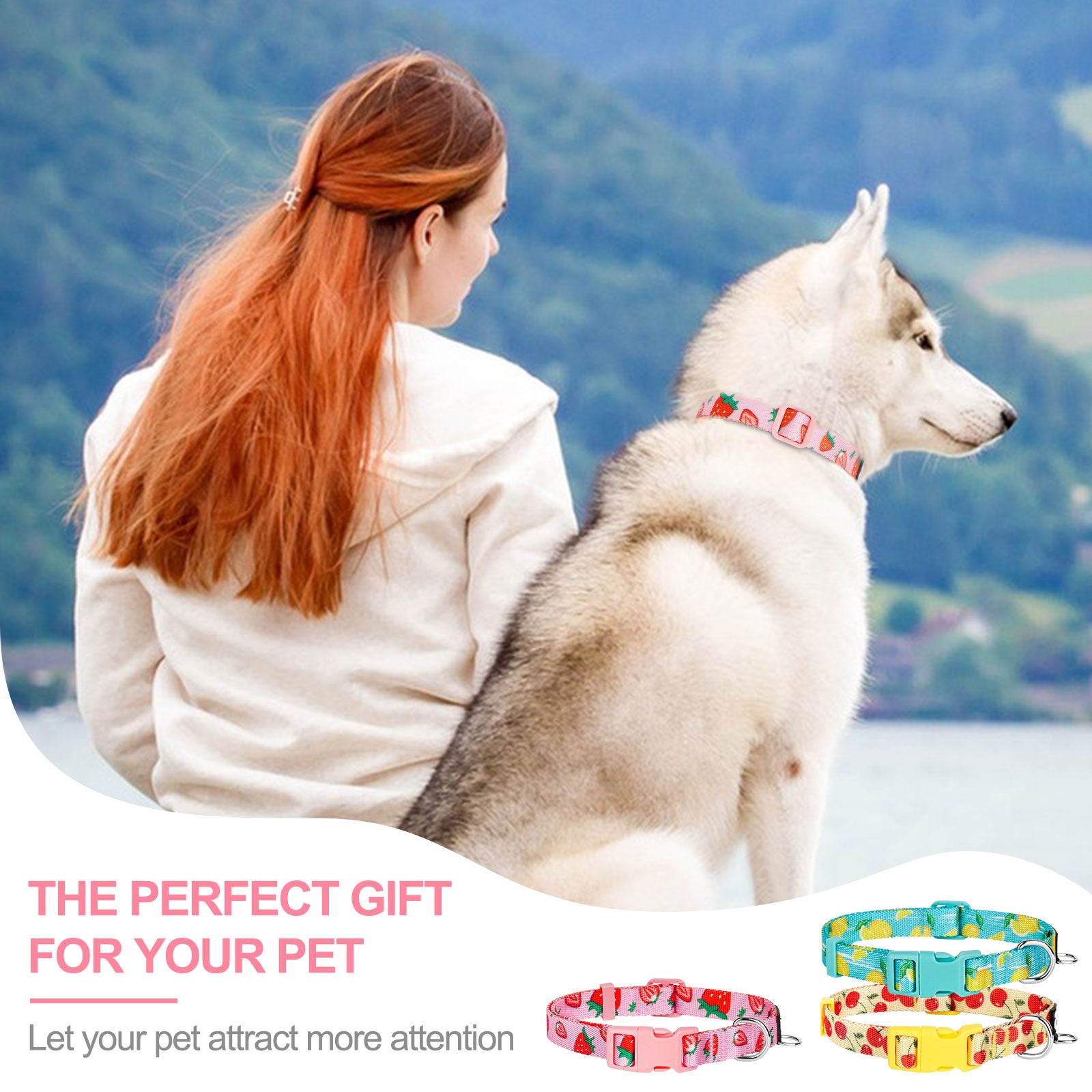 3 Pack Dog Collars Fruit Pattern Design Soft Comfortable Dog Collars for Small Medium and Large Dogs