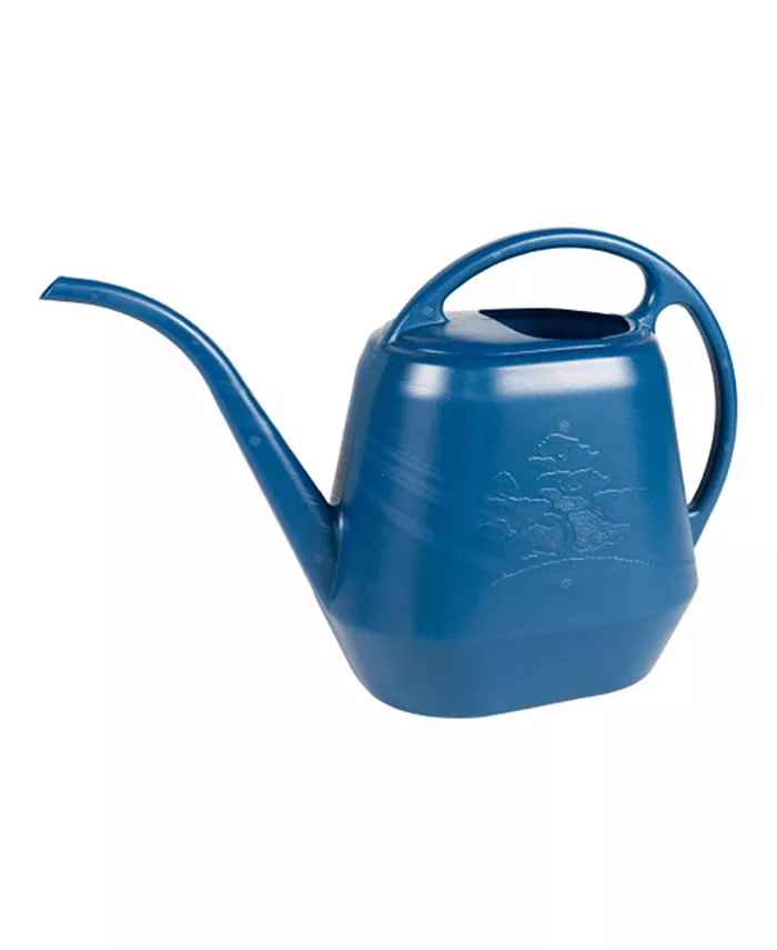 Bloem Aqua Rite Plastic Watering Can， Classic Blue， 144 oz