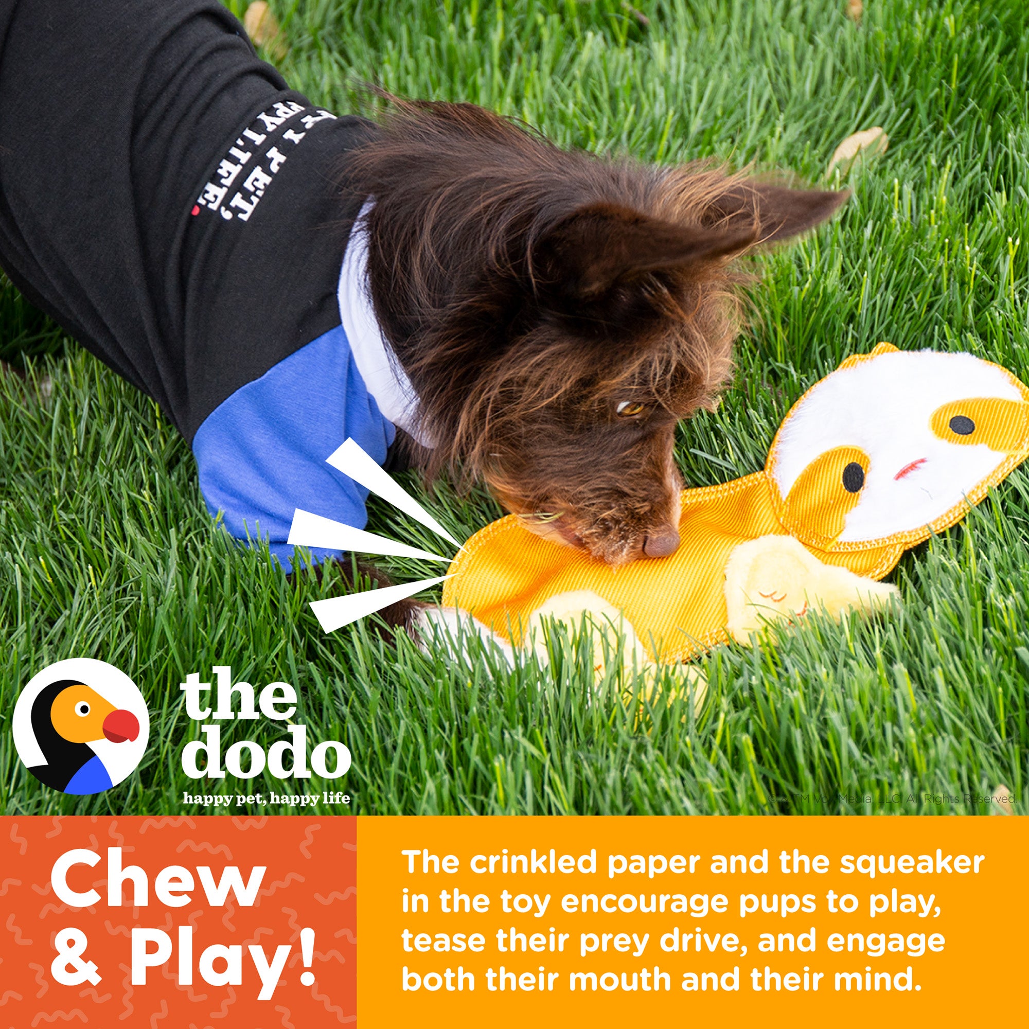 The Dodo Stuffingless Sloth Dog Crinkle Chew Toy， Yellow， Durable Ballistic Nylon Dog Toy