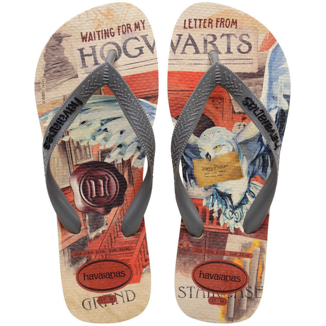 Chinelo Havaianas Top Clássicos Warner Harry Potter