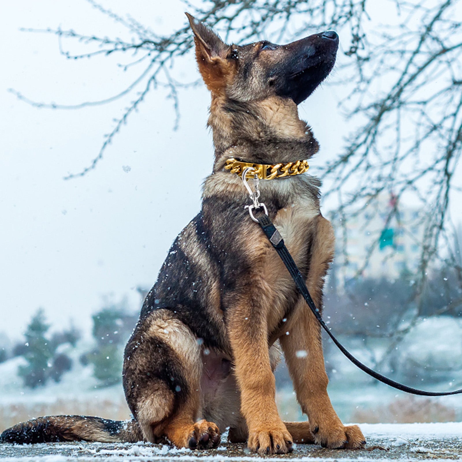 20'' Pet Chain Collar， TSV Stainless Steel Gold Pet Dog Leash Chain Collar with Design Secure Snap Buckle， Heavy Duty Chew Proof Dog Metal Chain Necklace Collar for Pets Xmas Gifts