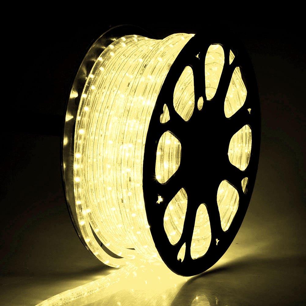 DELight LED Rope Light Outdoor Waterproof 150ft