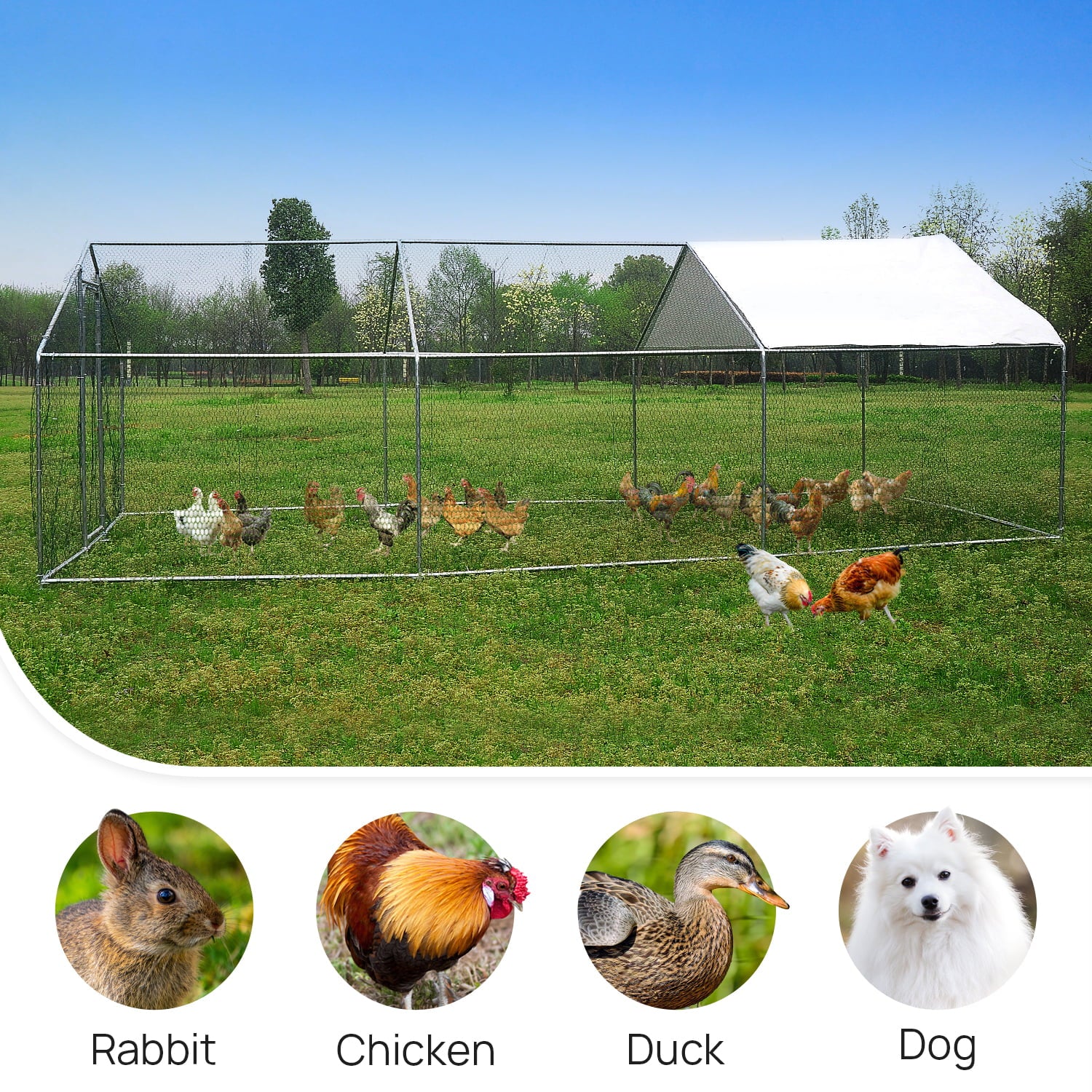 Walsport Large Chicken Coop Pets Cage Pens Creat Fence 20x10 ft Metal Wire Enclosur with Cover Run Backyard Pens