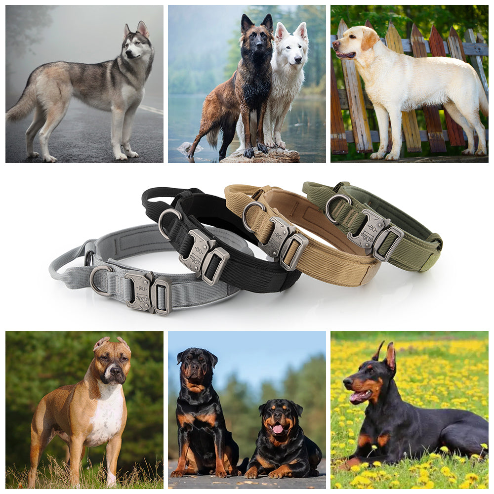 Plutus Pet Tactical Dog Collar， Soft Padded， Adjustable with Heavy Duty Metal Buckle， (L， Brown)
