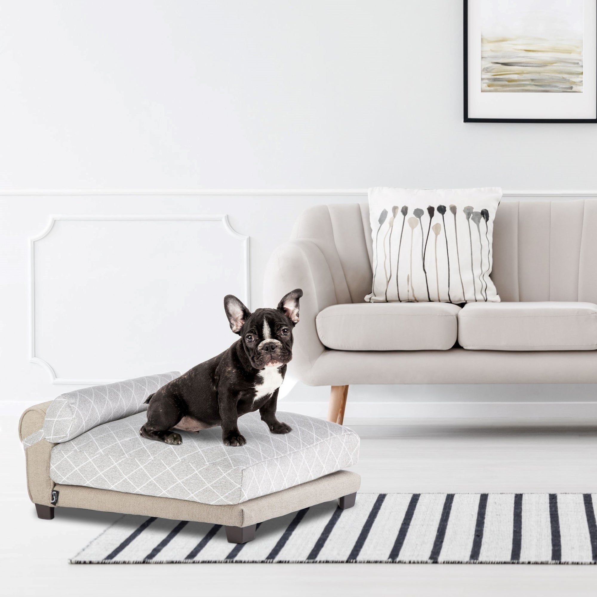 Club Nine Pets Belmont Orthopedic Dog Bed. Large， Tan.