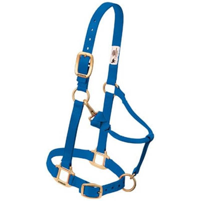 35-7035-BL 1 in. Adjustable Chin and Throat Snap Halterand#44; Blue