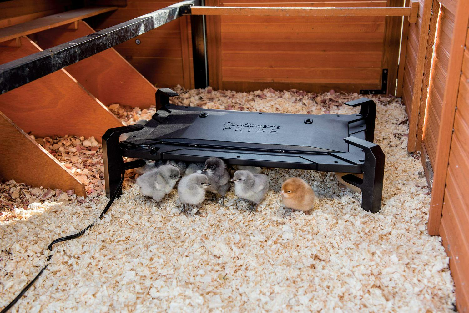Producer's Pride Brooder And Coop Heater