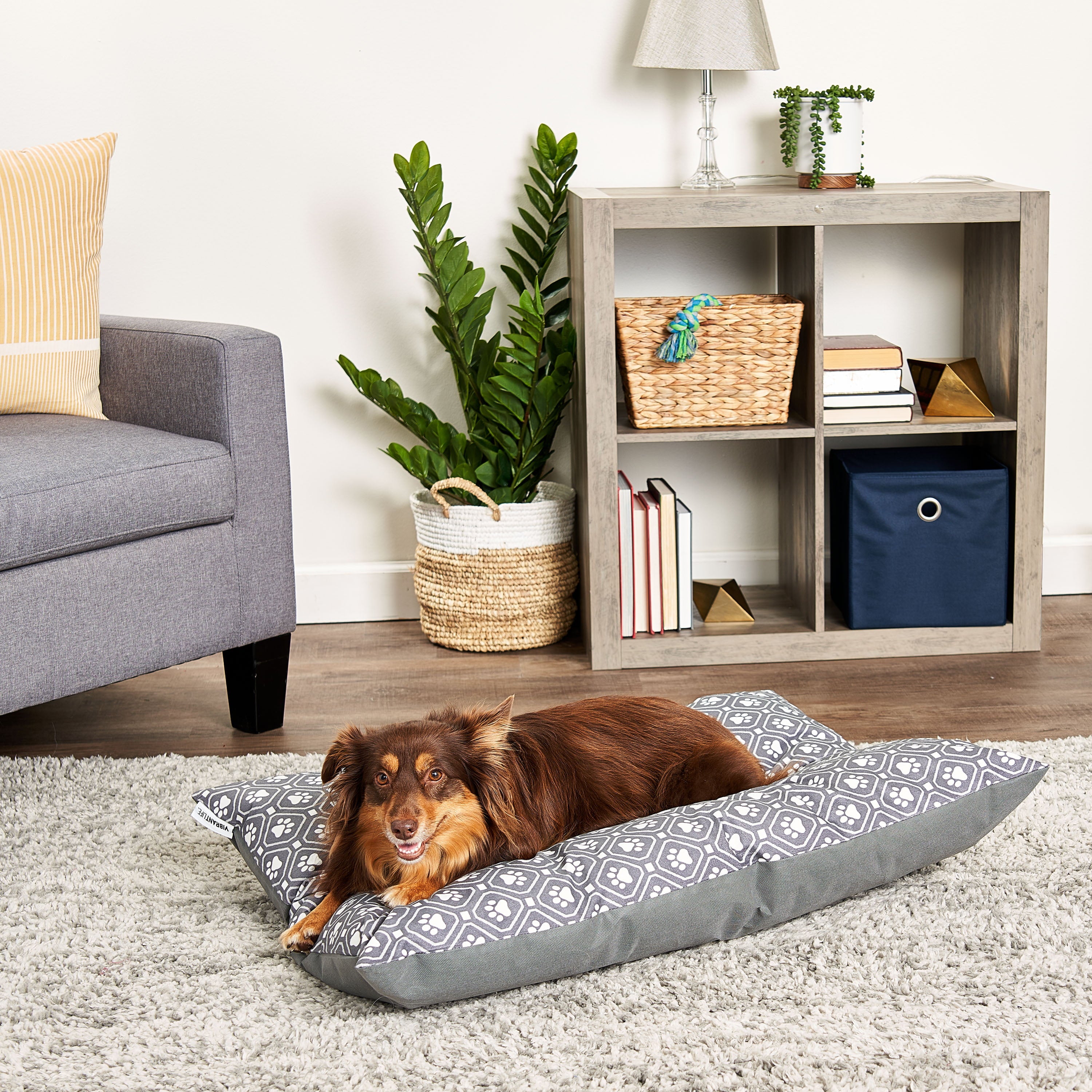 Vibrant Life Tufted Plush Pet Bed， Gray Paw， 27