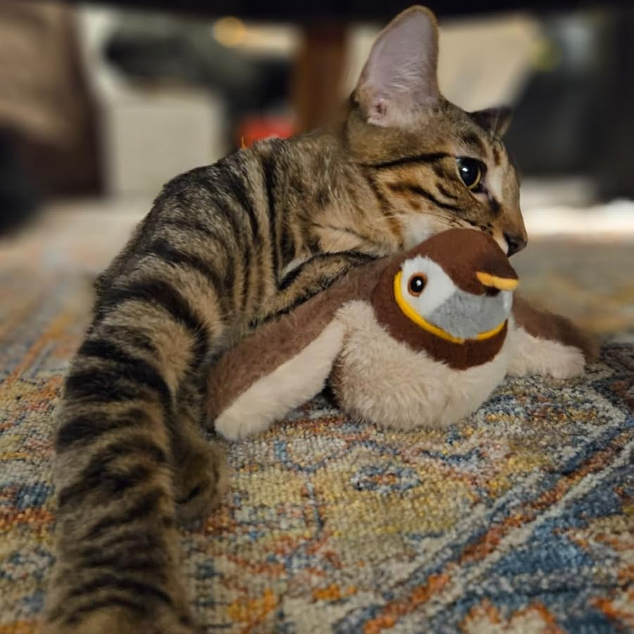 Flapping Bird Toy | Interactive Cat Toy – Catnip Chase Play