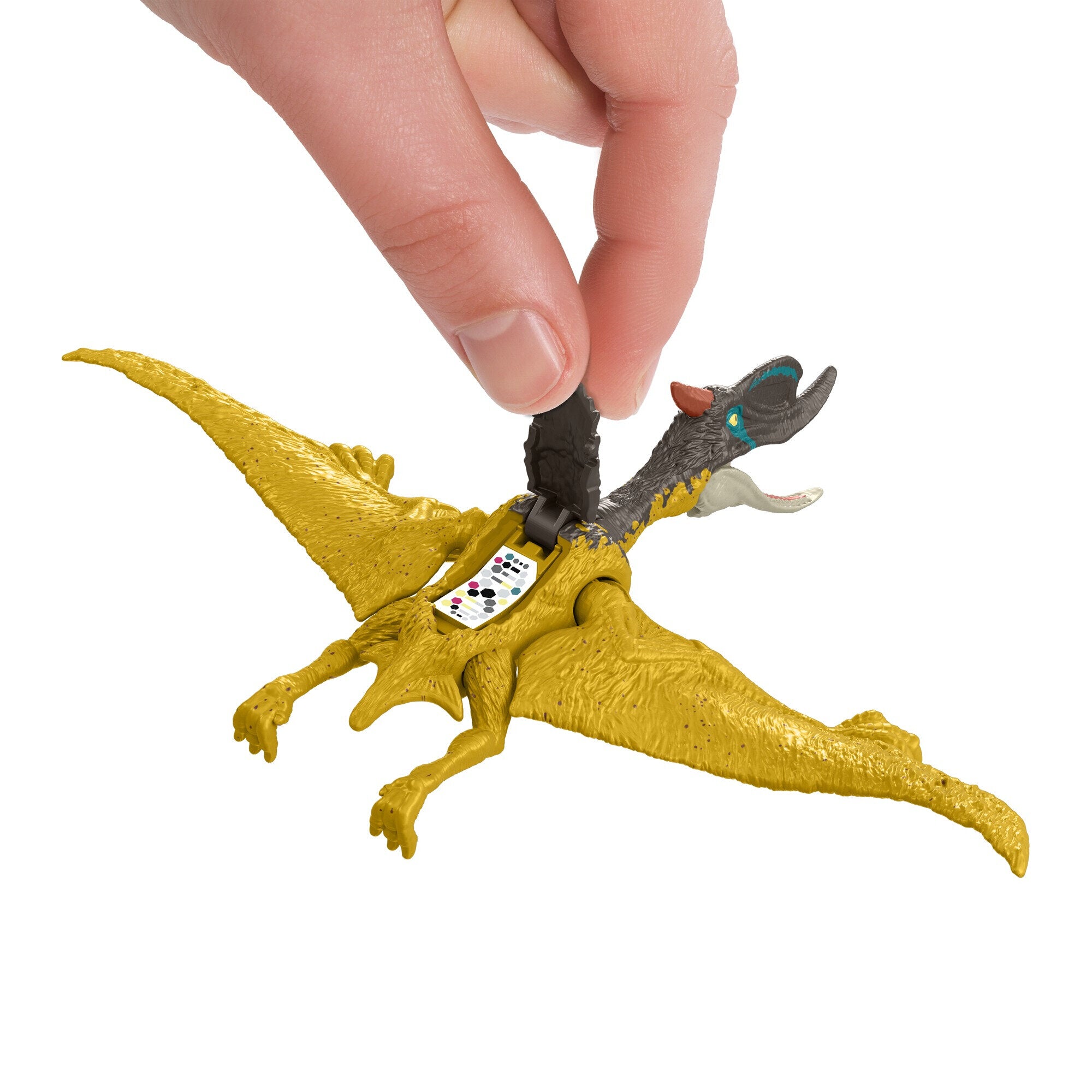 Jurassic World Ferocious Pack Dinosaur Action Figure Dsungaripterus， Child 3Y+