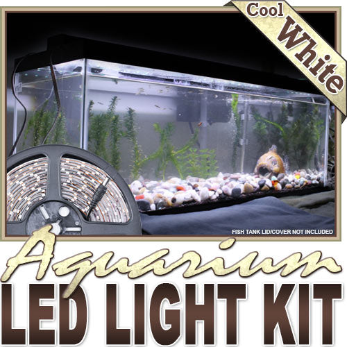 Biltek 16.4' ft Cool White Aquarium Fish Tank White LED Lighting Strip + Dimmer + Remote + Wall Plug 110V - Main Lighting Fresh Water Salt Water Tanks Water Resistant 3528 SMD Flexible DIY 110V-220V