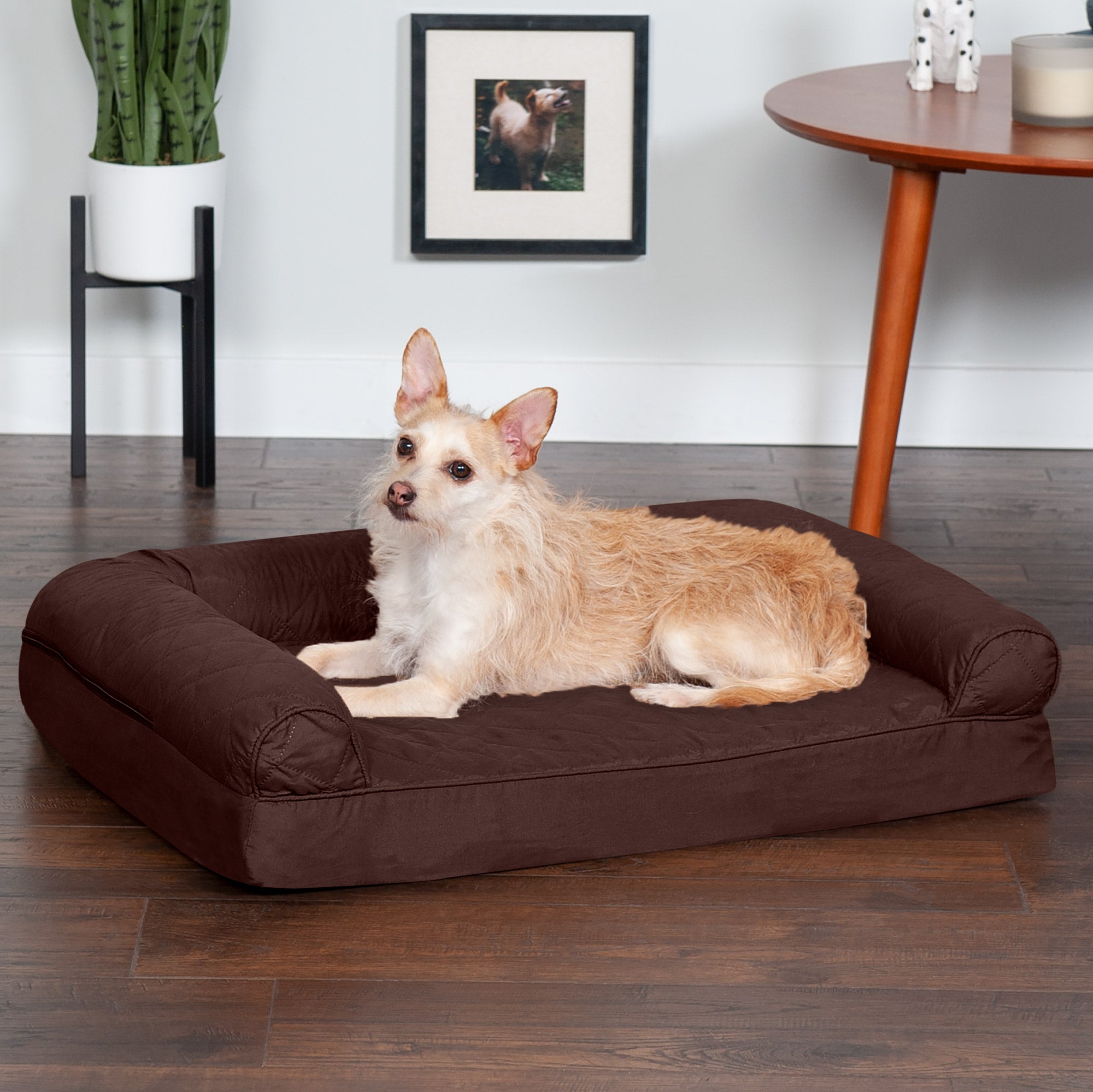 FurHaven | Orthopedic Quilted Sofa Pet Bed for Dogs and Cats， Coffee， Medium