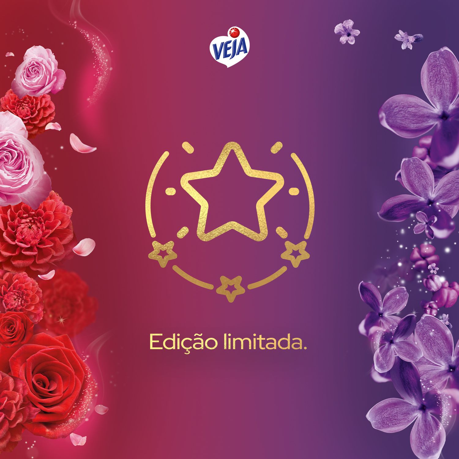 Veja Perfumes Especiais Limpador Perfumado Marcante e Envolvente - 2L