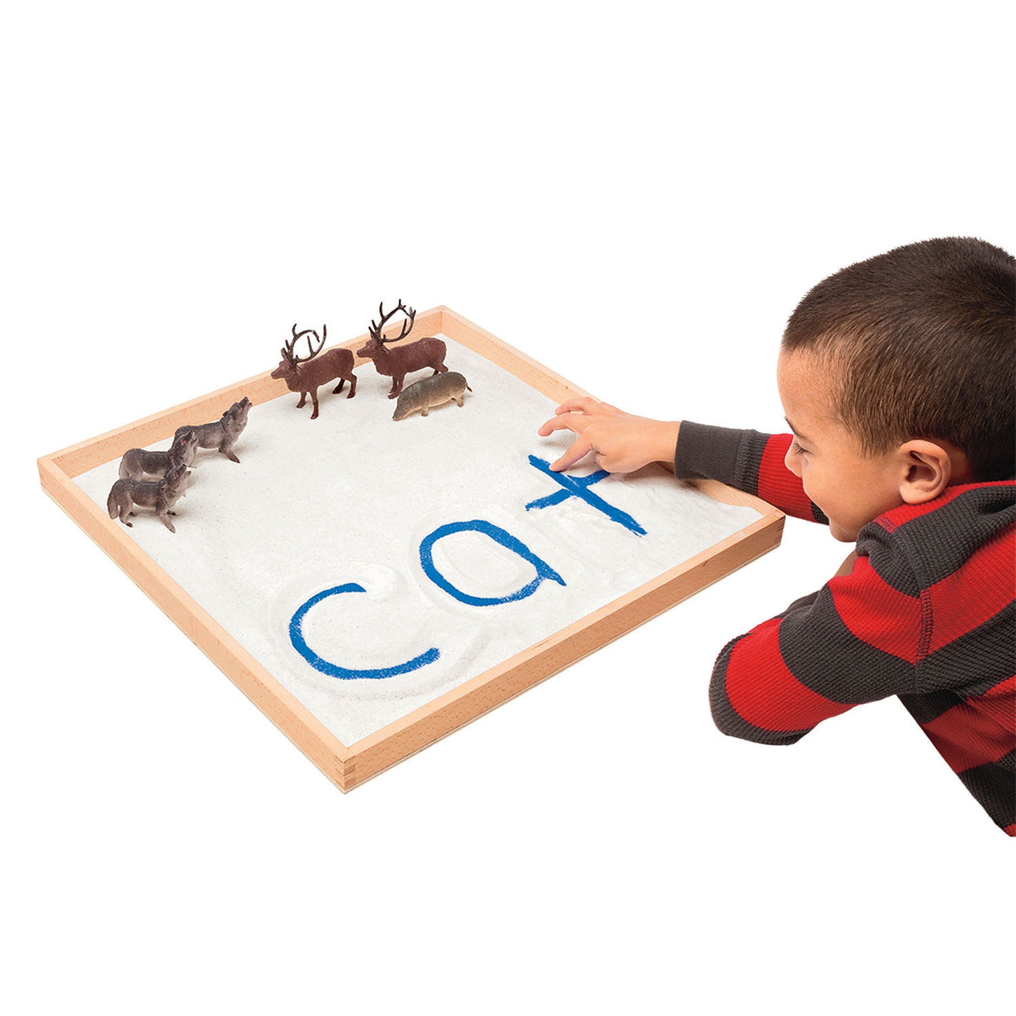 Primary Concepts™ Jumbo Sand Tray， 18