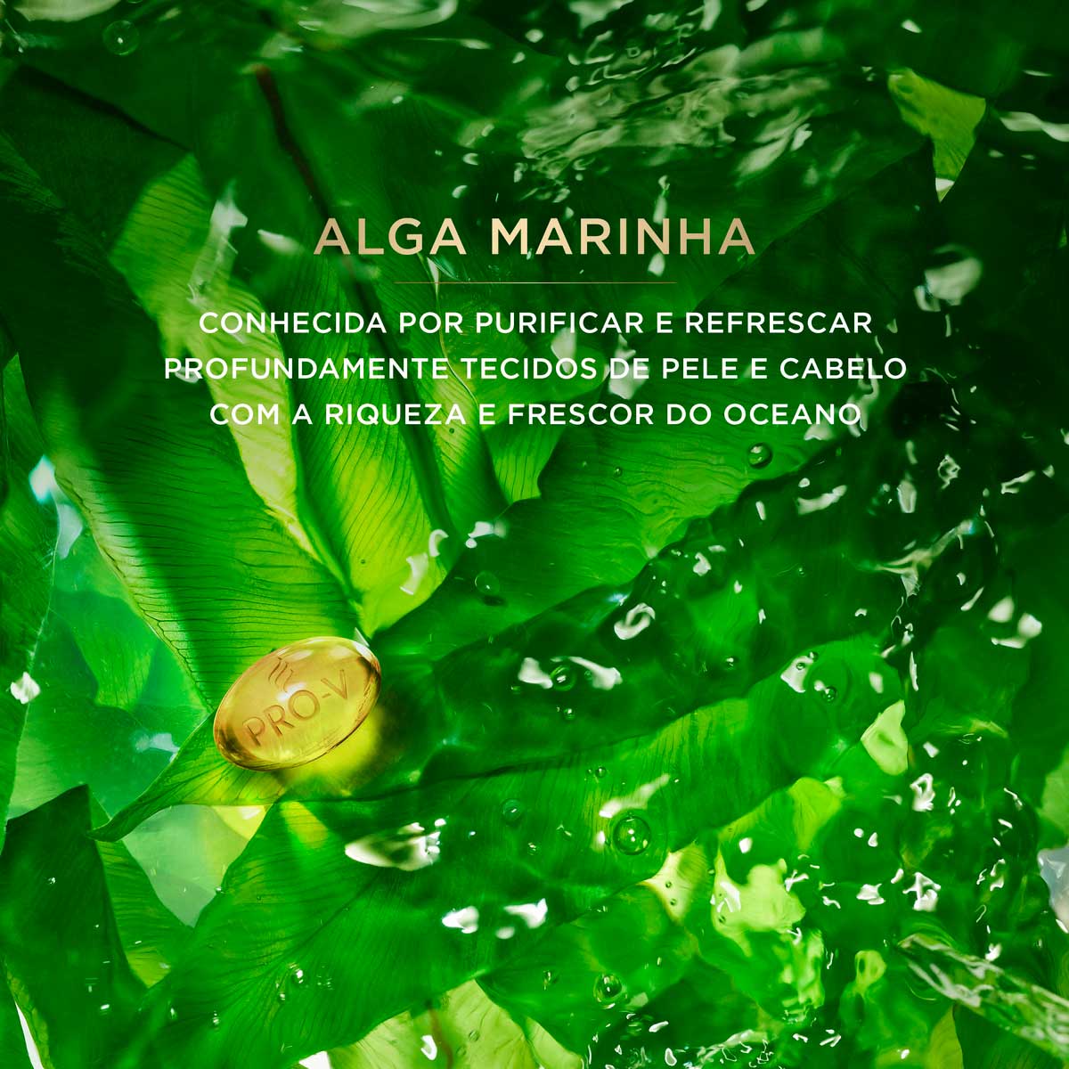 Shampoo Pantene Pro-V Miracles Equilibrio Raiz e Pontas 300ml