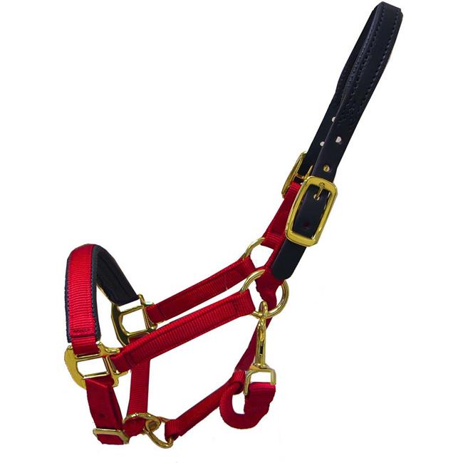 Intrepid International TH41BK Size 5-8 Breakaway Halter Padded Crown and Noseand#44; Black - Cob