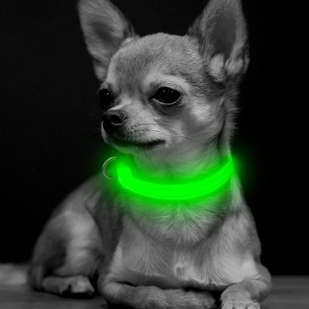 Bseen Small LED Dog Collar - USB Rechargeable Glowing Pet Collar for x-Small Dogsand Cats (Green)