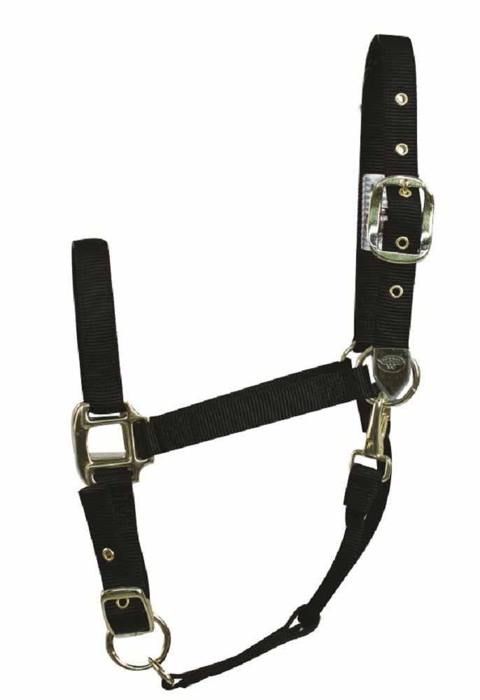 Western Rawhide Signature Classic Halter with Snap - Large Horse - Black - with Brass coloured Zinc Die Cast Hardware
