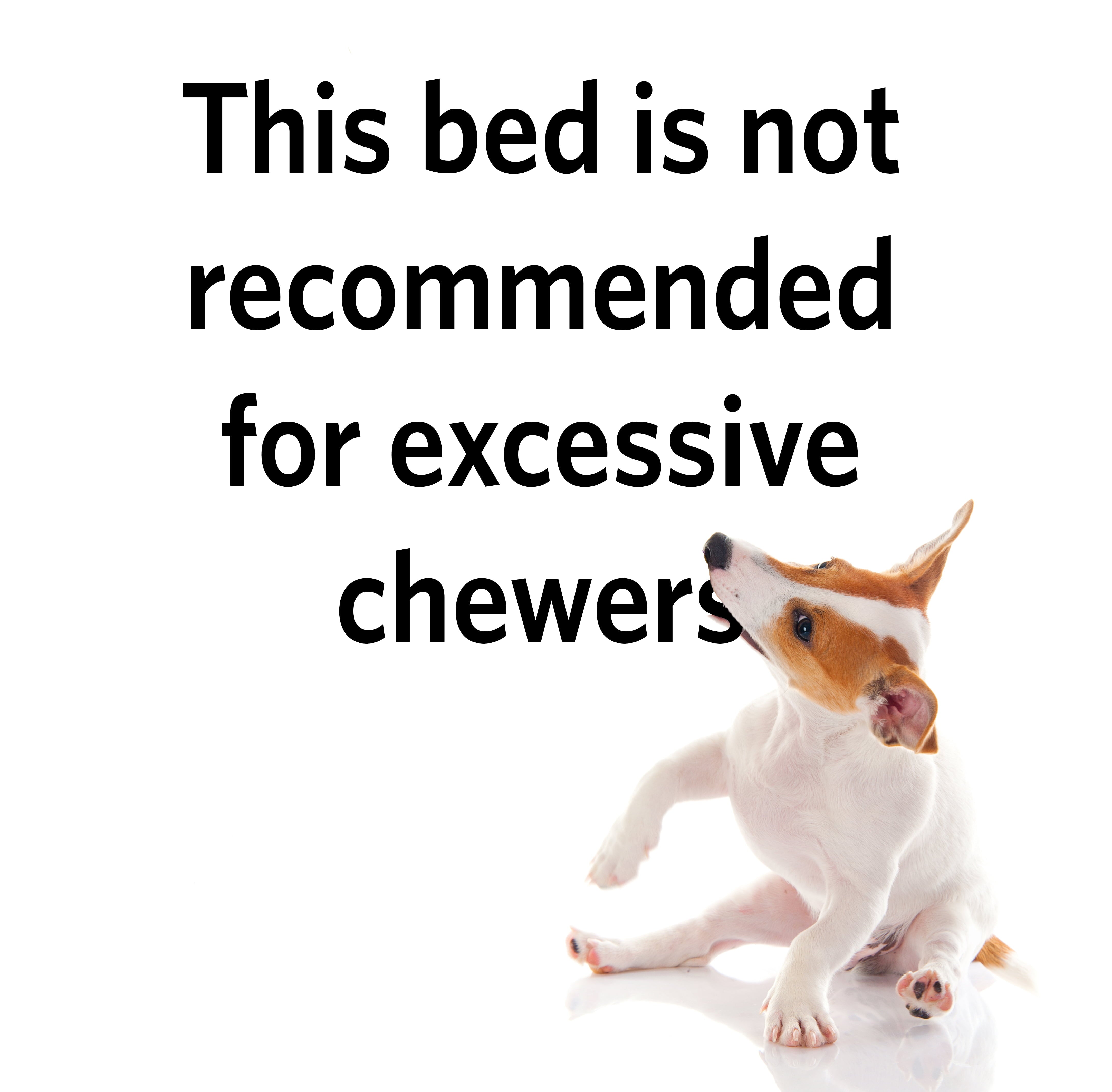 Midwest Ultra-Durable Dog Bed and Crate Mat， 42