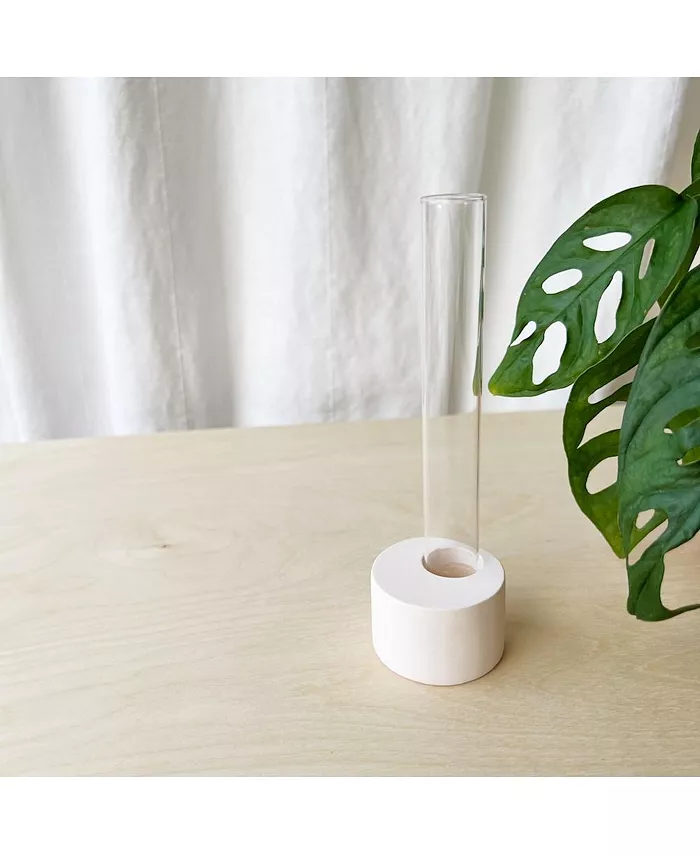 Tierra Sol Studio Plant Propagation Vessel - White 6.5 in