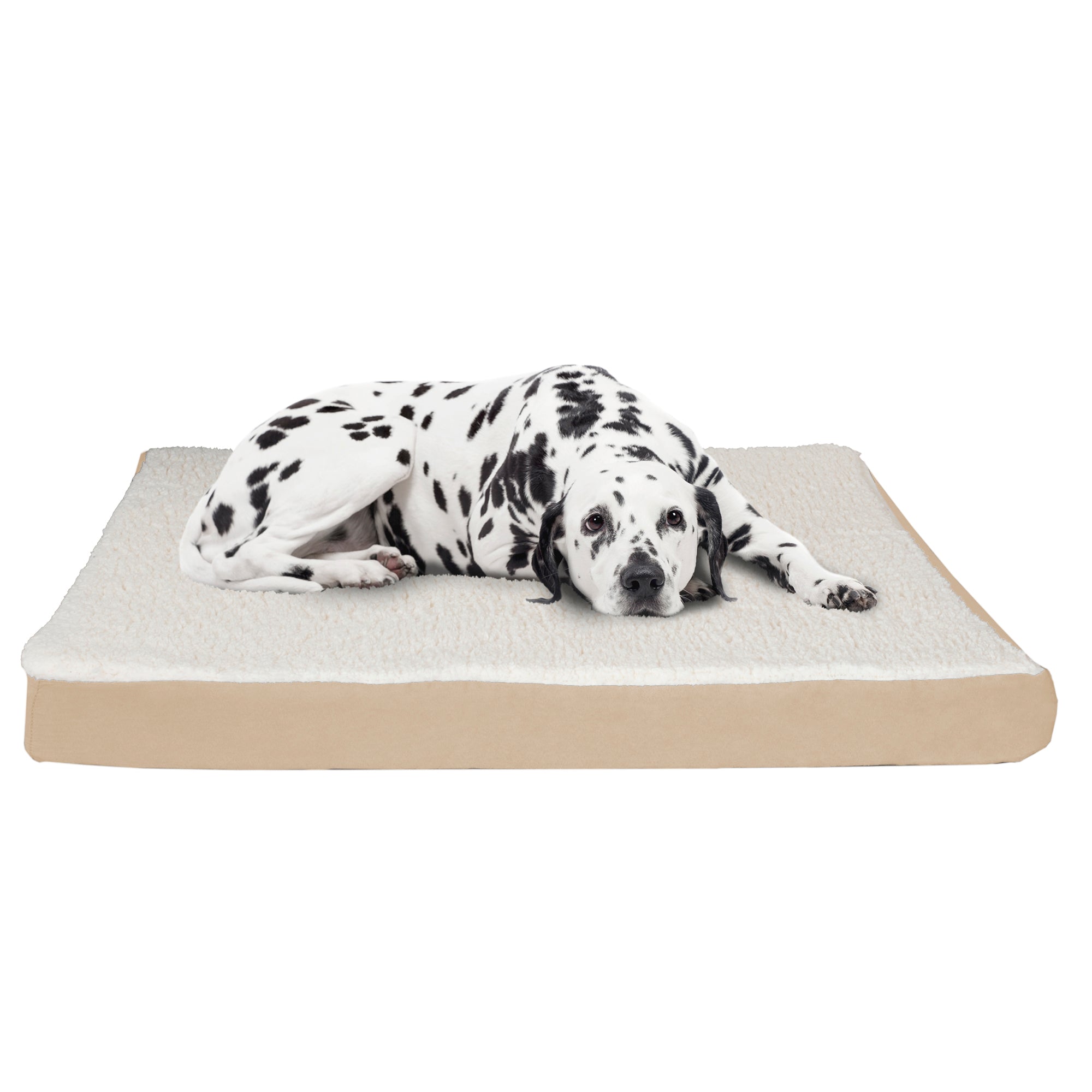 Petmaker Orthopedic Dog Bed， Tan， 35
