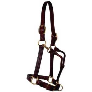 Horse Amish  LARGE Western  USA 1