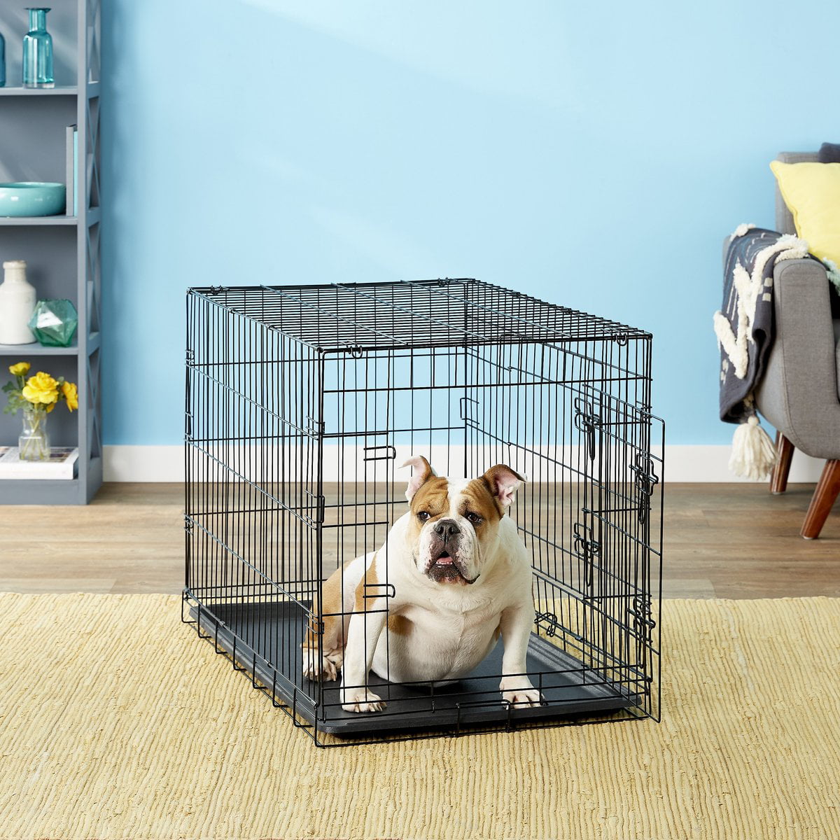Paws and Pals Heavy Duty Foldable Double Door Dog Crate with Divider and Removable Tray (36-inch) (Medium)