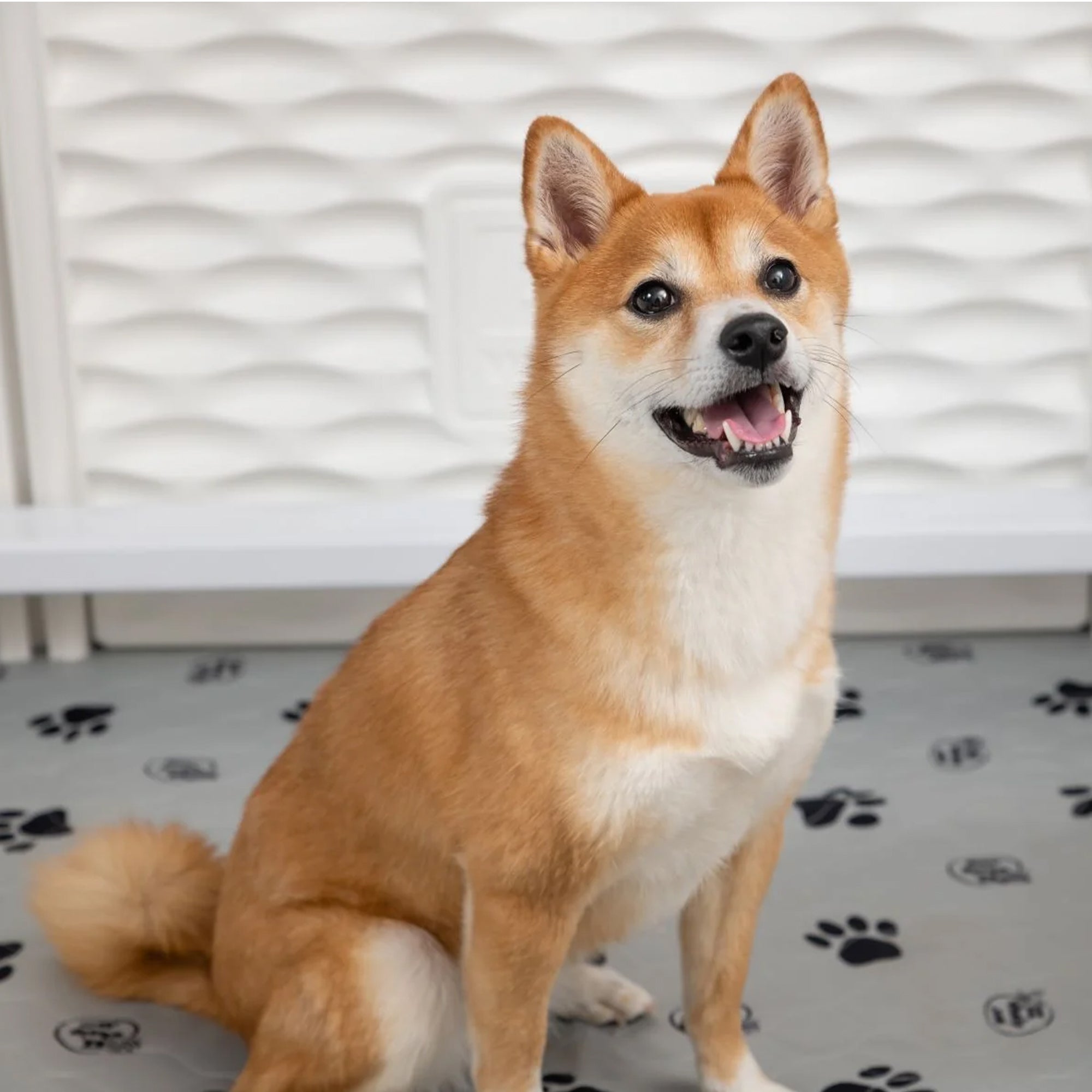 EZwhelp EZclassic 28